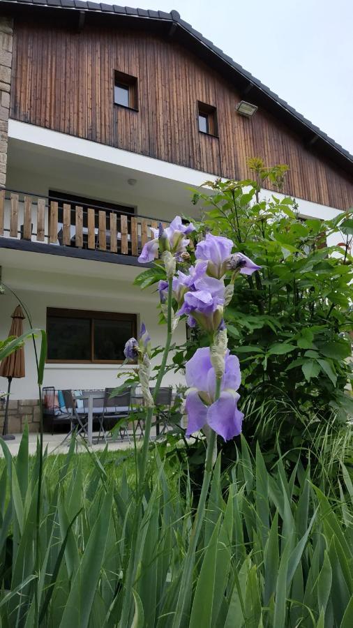 Le Jardin De Moulis, Saint Girons, Ariege, Pyrenees, Bed & Breakfast Exterior photo