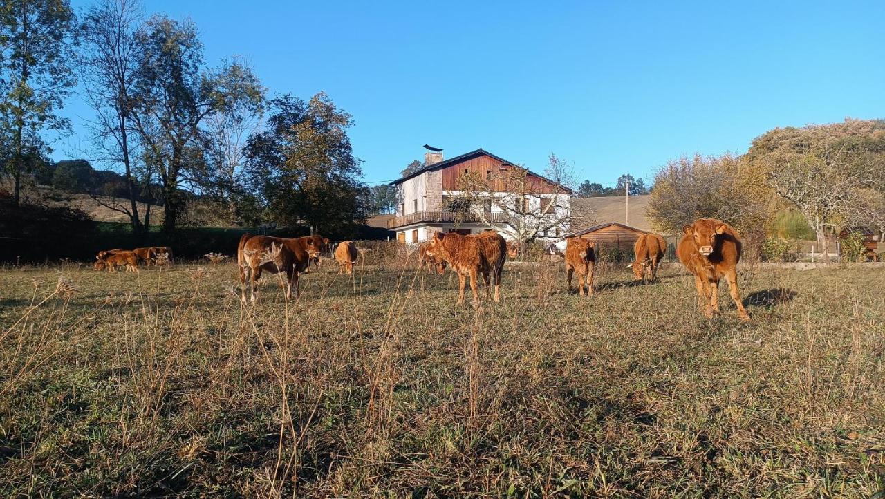 Le Jardin De Moulis, Saint Girons, Ariege, Pyrenees, Bed & Breakfast Exterior photo
